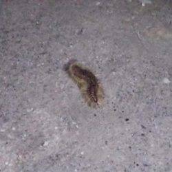 川棚港周辺にて