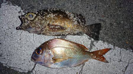 大阪からの帰りに、