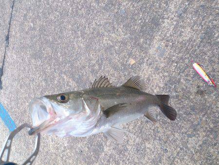 久しぶりの投稿＆停泊船ゲ―ム