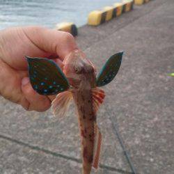 那佐湾と浅川漁港