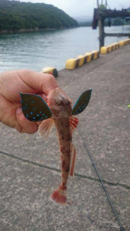 那佐湾と浅川漁港