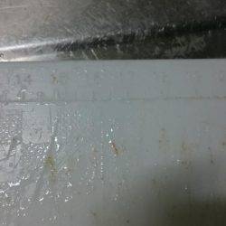 ひさしぶりの良形!