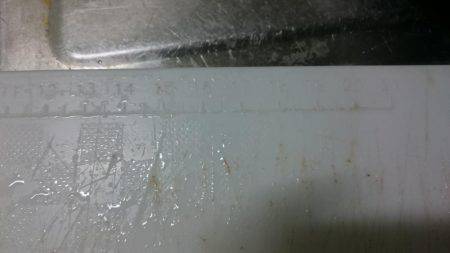 ひさしぶりの良形!