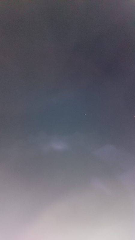 エギングとガシリング