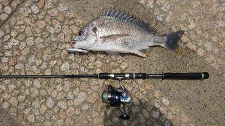 crowでトップゲーム