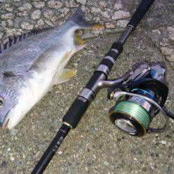 トップチニング