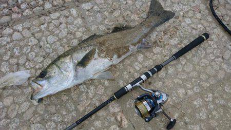 シーバスゲット