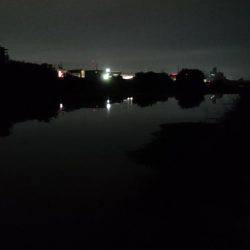 夕涼みナマジング