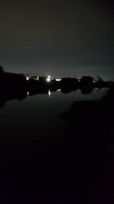 夕涼みナマジング