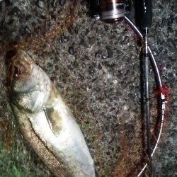 初上陸、横浜沖堤防!!