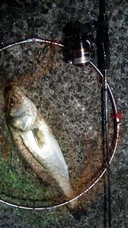 初上陸、横浜沖堤防!!