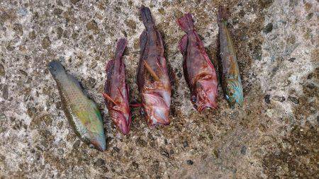 ホテルでフィッシング