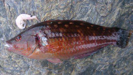 人多く賑わった漁港