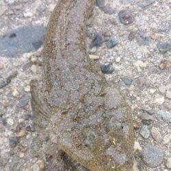 二桁は難しいかな