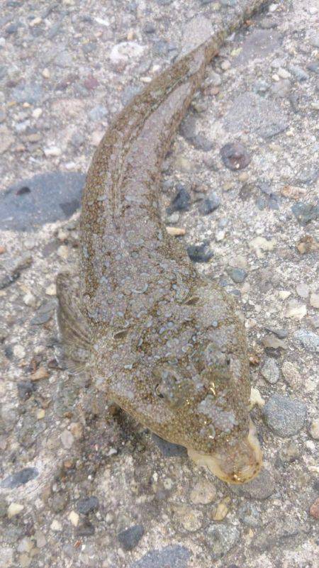 二桁は難しいかな