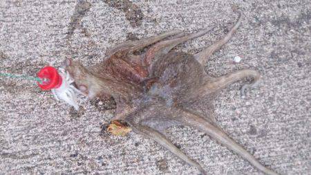 マッチョなあいつ