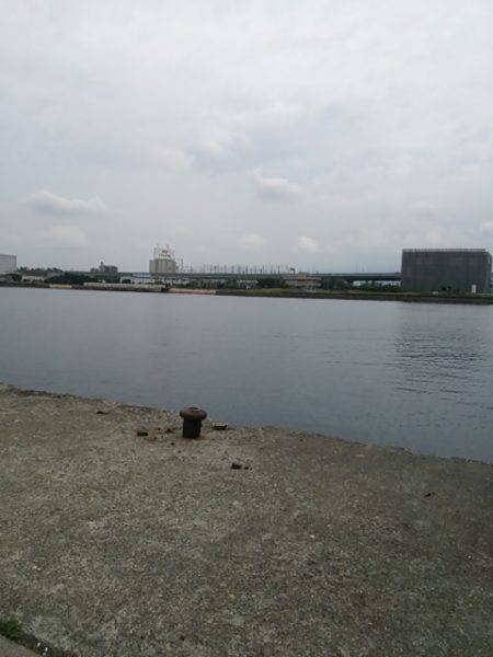 オクトパッシング