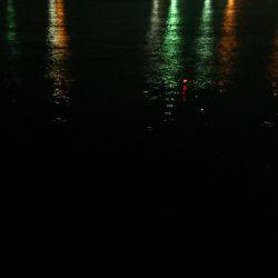 サビキがしたい…です。