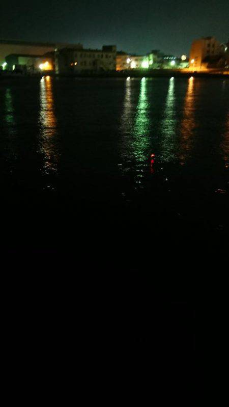 サビキがしたい…です。