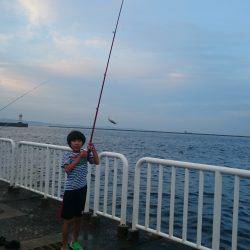 豆アジ大漁＆サバも大きくなってきた