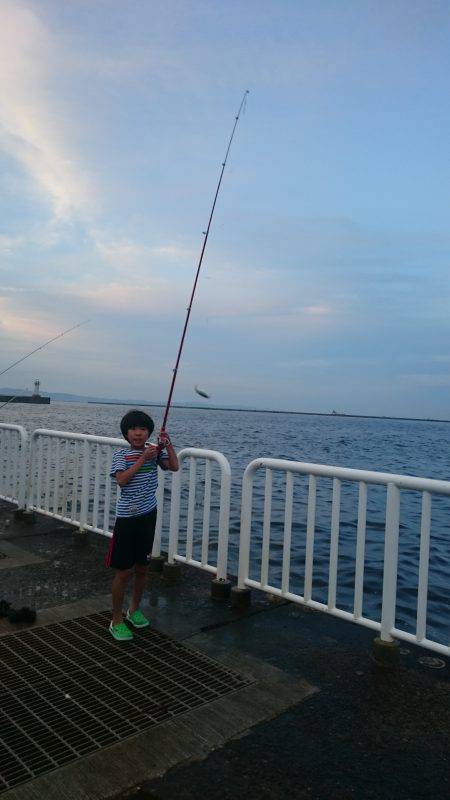 豆アジ大漁＆サバも大きくなってきた