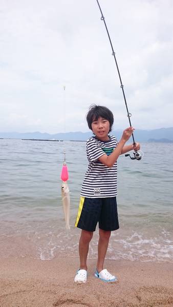 キス・ベラ・ガッチョ