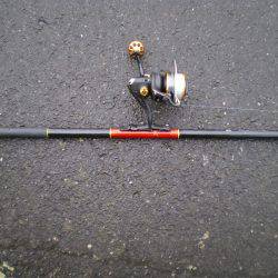 キス釣りのはずが・・・