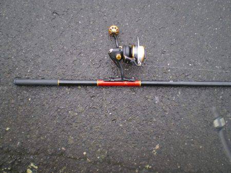 キス釣りのはずが・・・