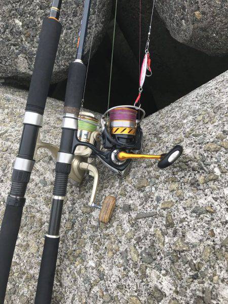 ツバスいました！