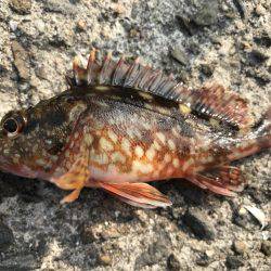 タイミング良く…