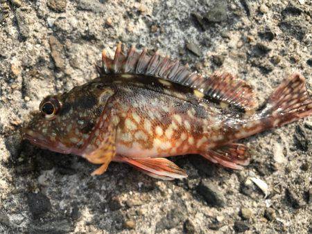 タイミング良く…