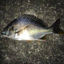 仕事帰りの定期巡回