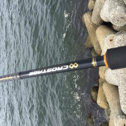 ニューロッド入魂