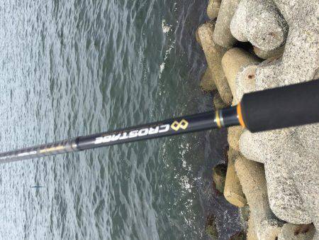 ニューロッド入魂