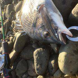 久々のチニング