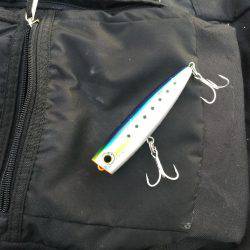 ダーツ？ダツ！