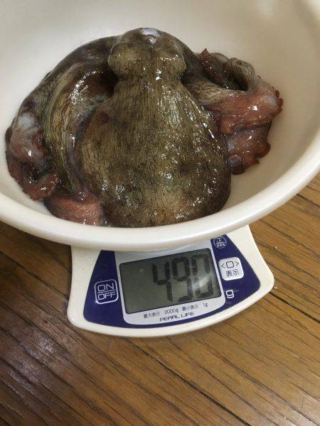 オクトパッシング