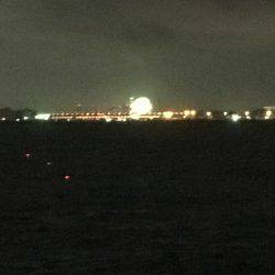 タチウオ!のはずが…