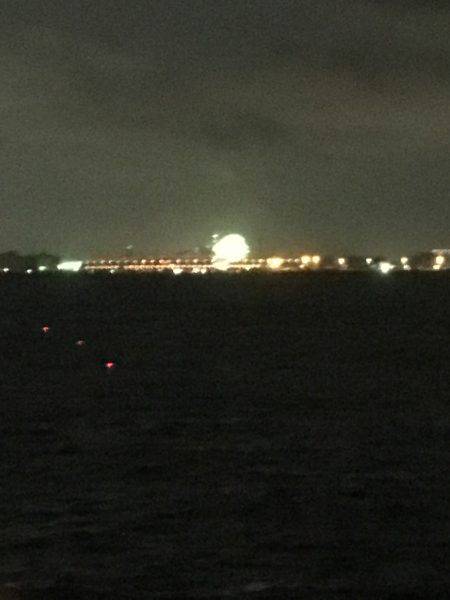 タチウオ!のはずが…