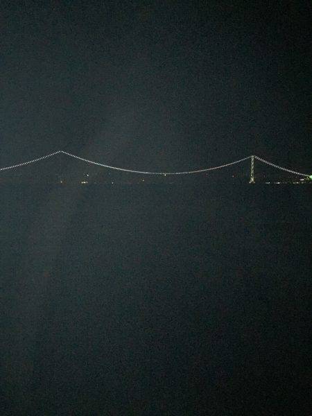 ケンサキリベンジ