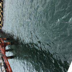 春イカは最後⁉️