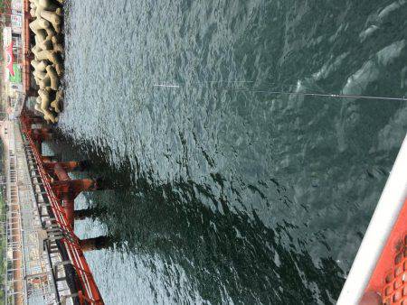 春イカは最後⁉️