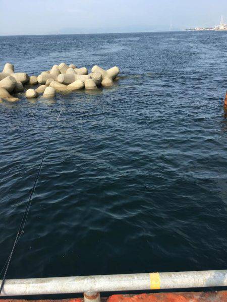 夏❗️エギング＆ライトショアジギング