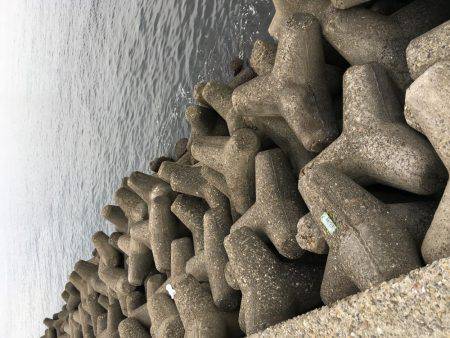 マイポイントでオクトパッシング