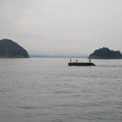 阿南市の辰巳でタチウオテンヤ