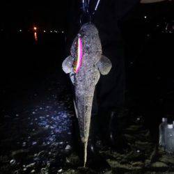 初　千代崎ビーチ　ジギング