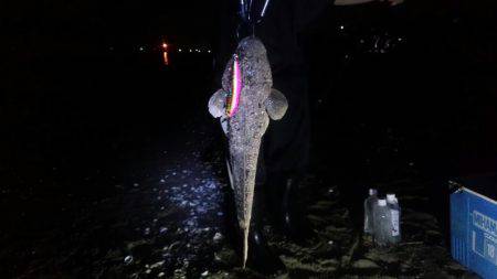 初　千代崎ビーチ　ジギング