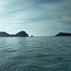 阿南市の辰巳でタチウオテンヤ