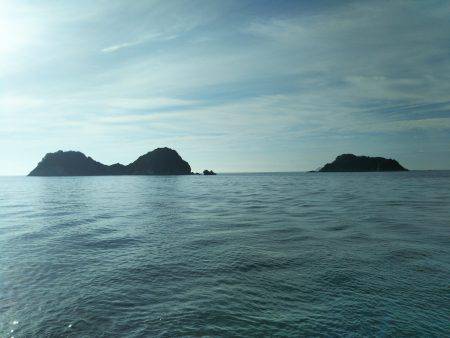 阿南市の辰巳でタチウオテンヤ