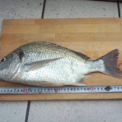 まるちよう海上釣堀